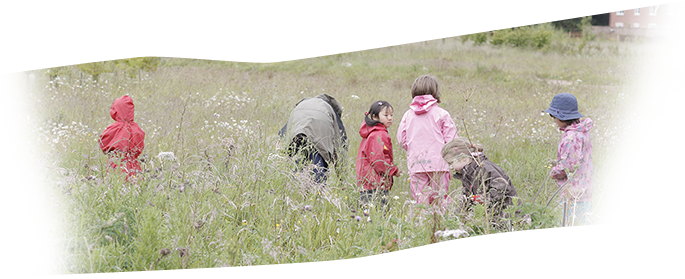 Children in a meadow